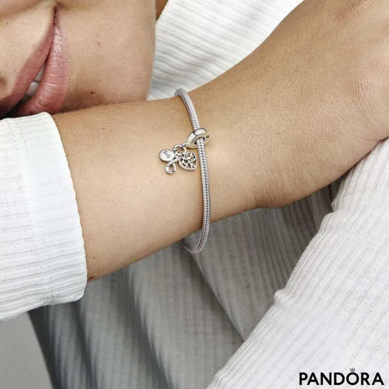 Pandora infinity heart charm in 2023  Infinity heart Heart charm Pandora  bracelets