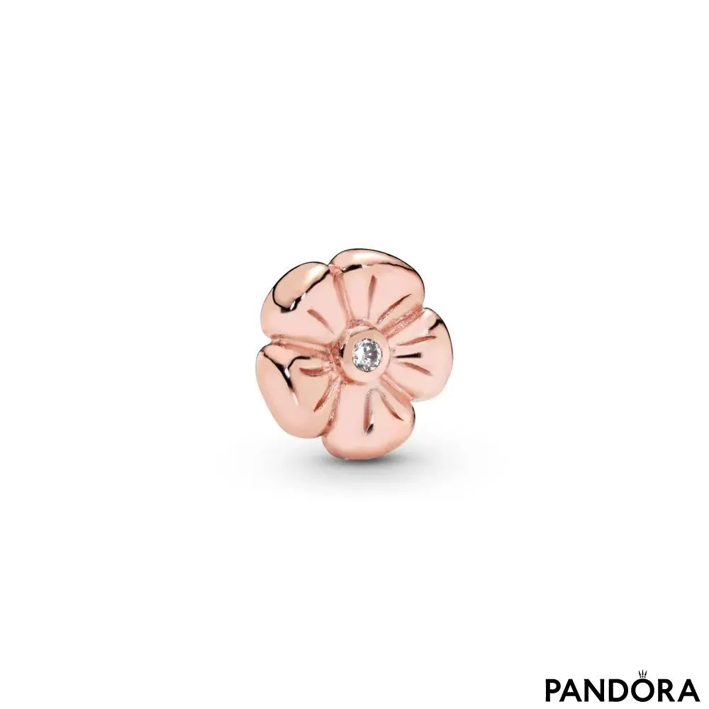 Pandora Rose petit rožica 