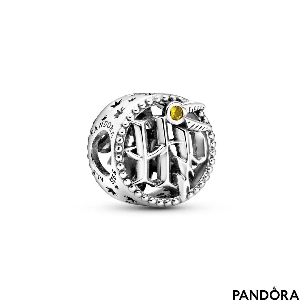 Harry Potter, Openwork Harry Potter Icons Charm 
