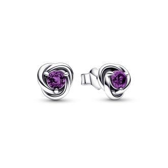 Birthstone februar - neviseči vijolični uhani